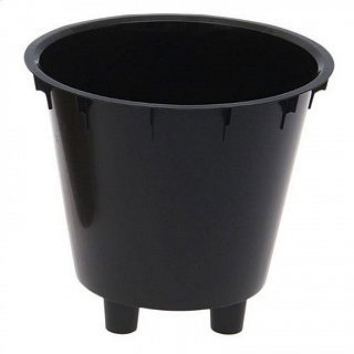 Разноцветный