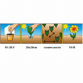 Разноцветный