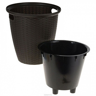 Разноцветный